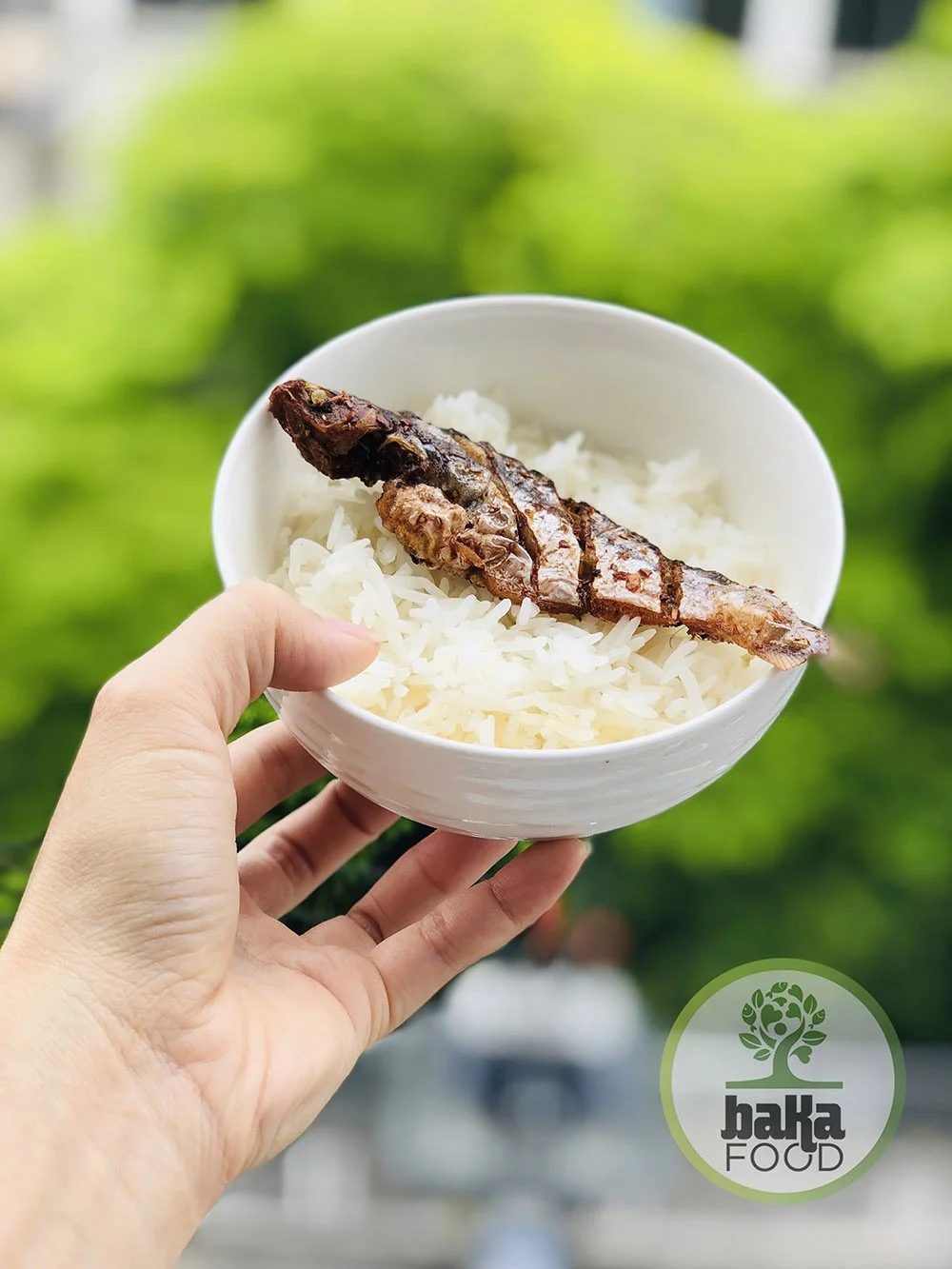 Gạo hữu cơ ST25 ( Túi 5 kg) hạt gạo chất lượng, thơm ngon