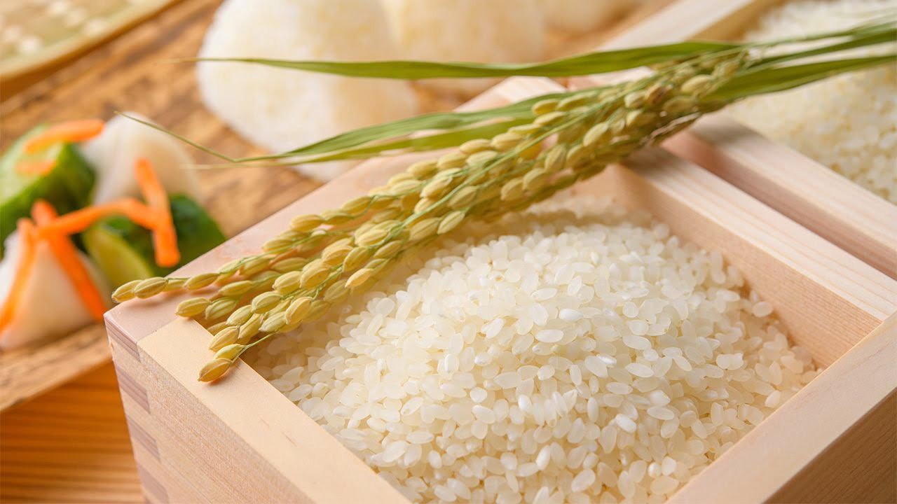 Gạo Ngon Các Loại Ở Việt Nam – Đặc Điểm Và Giá Bán