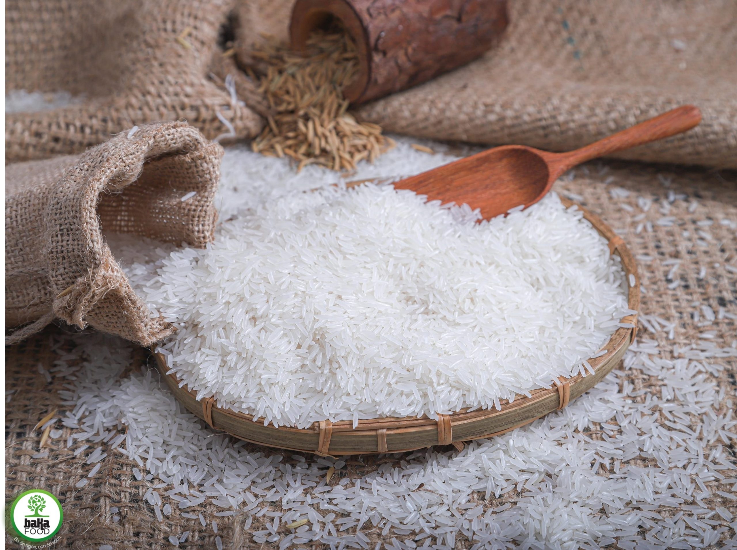 Gạo ST24 hữu cơ là loại gạo gì? 