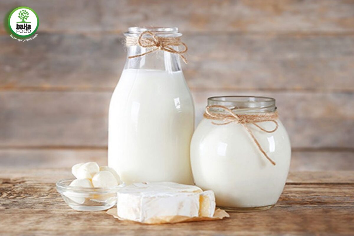 Sữa là một nguồn giàu canxi và protein