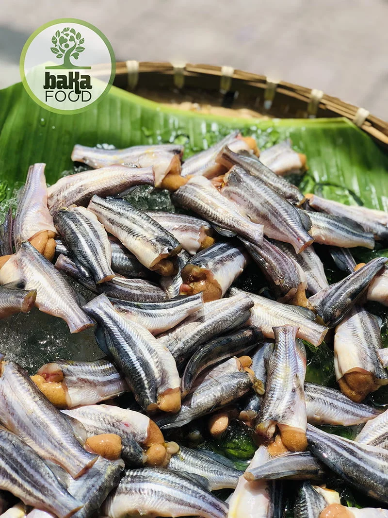 ca chot trung bakafood