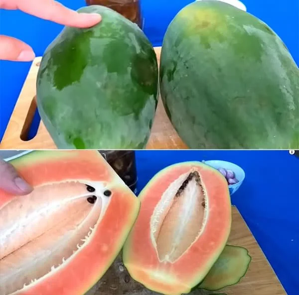 Cách làm mắm cá linh trộn đu đủ đơn giản mà CỰC NGON 8 Cách làm mắm cá linh trộn đu đủ
