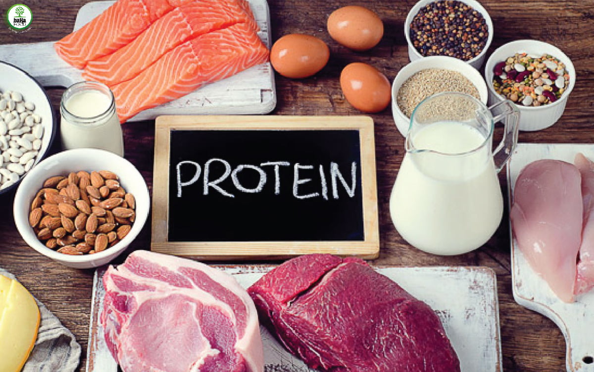 Protein là một trong những chất thiết yếu của cơ thể