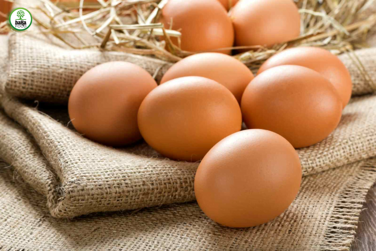 Trứng chứa rất nhiều iot, protein và chất béo tốt cho cơ thể 