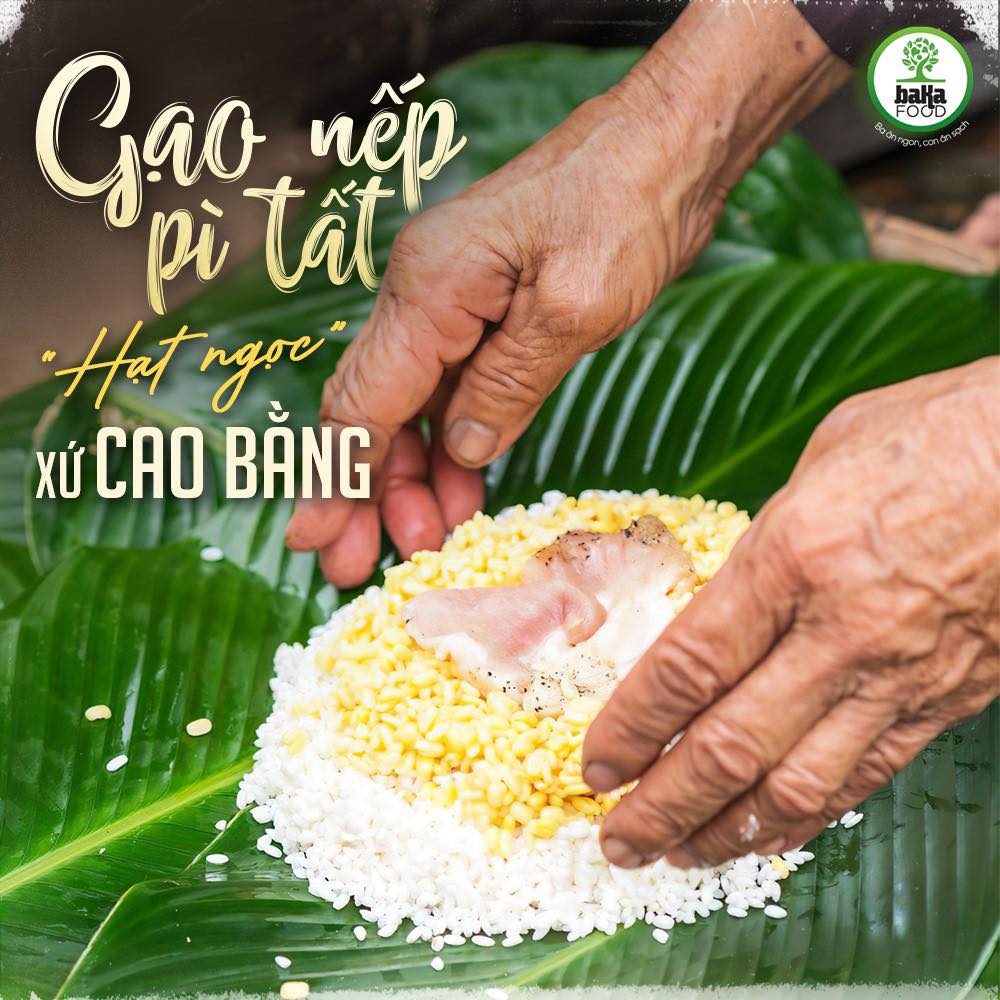 Gạo nếp nương Cao Bằng.