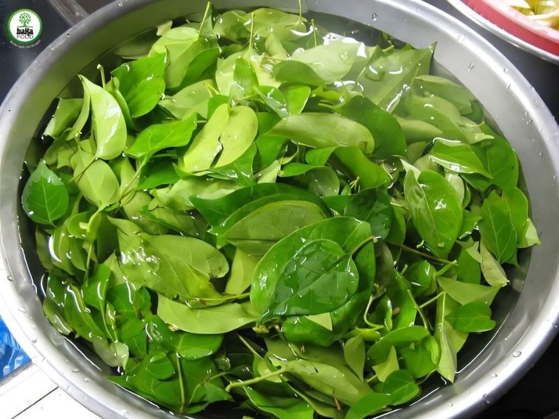 Nghệ thuật chọn và sơ chế lá giang chuẩn vị chua thanh