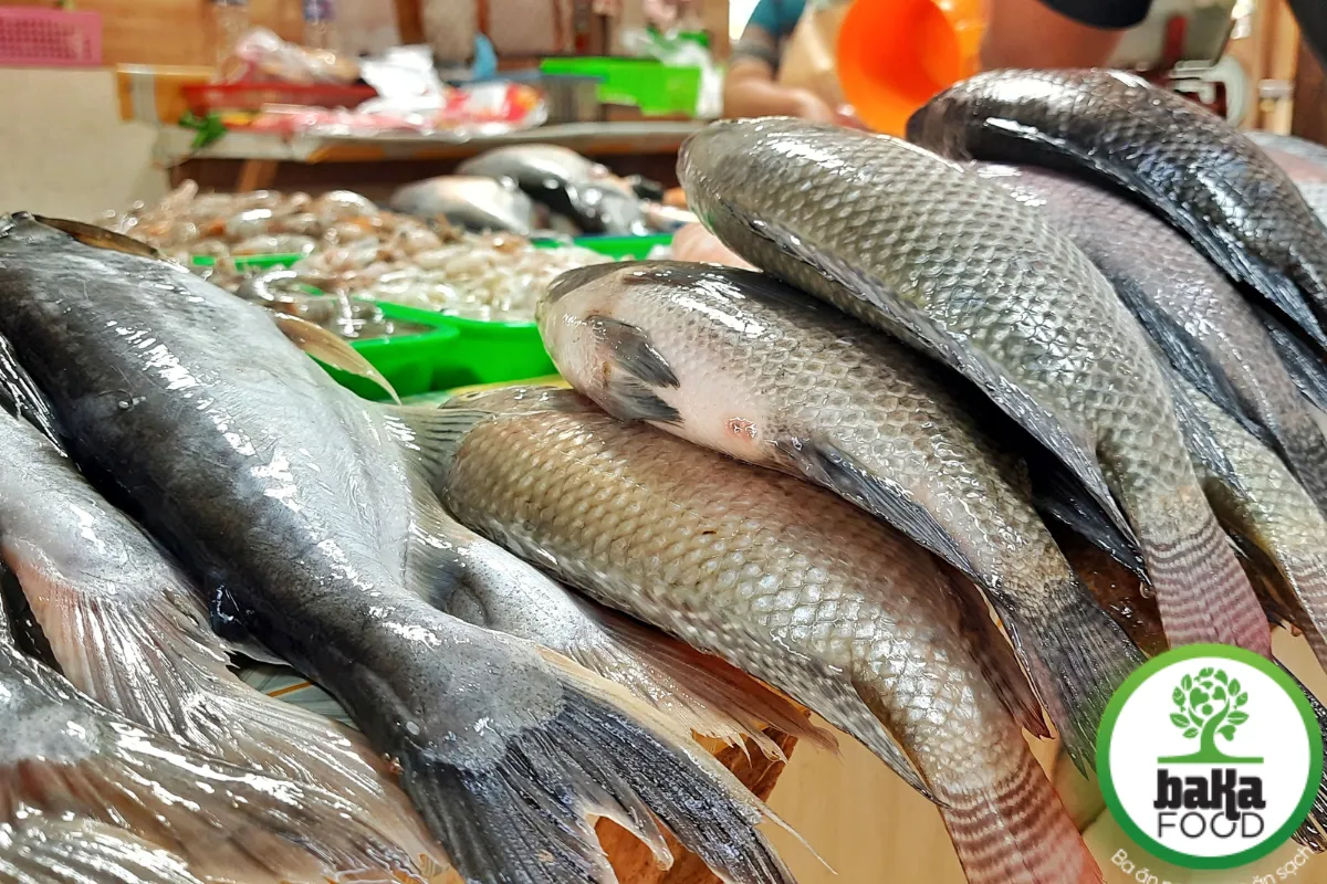 Cá tươi thường có lớp nhớt tự nhiên mỏng, trong suốt, không có mùi lạ và không xuất hiện lớp màng mờ bất thường trên da.