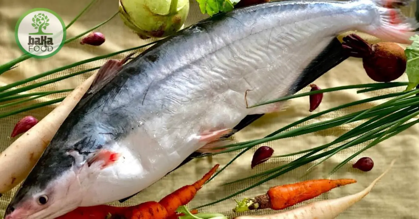 Đặc điểm nhận dạng cơ bản của các loài: bông lau, dứa, basa, tra, hú